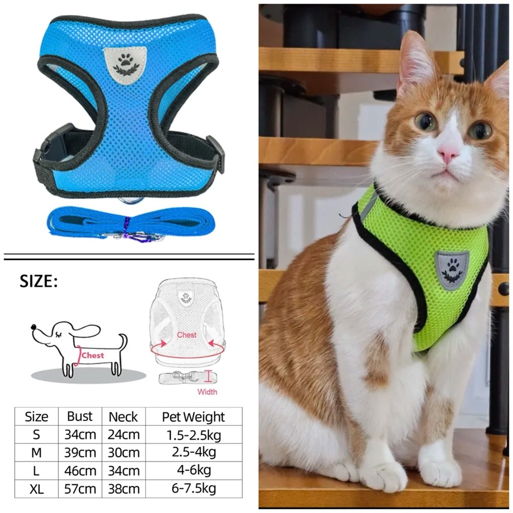 🔥 Cat Harness Vest Walking Lead Leash
